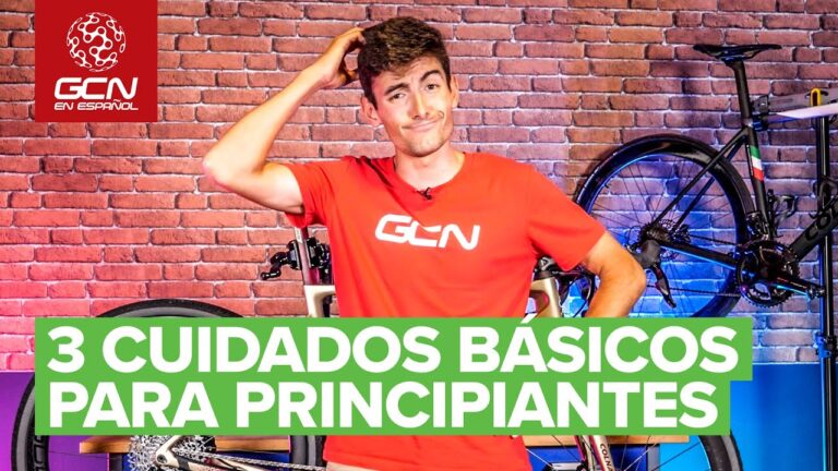 Pautas Esenciales para el Cuidado de la Transmisi&oacute;n en el Mantenimiento Peri&oacute;dico