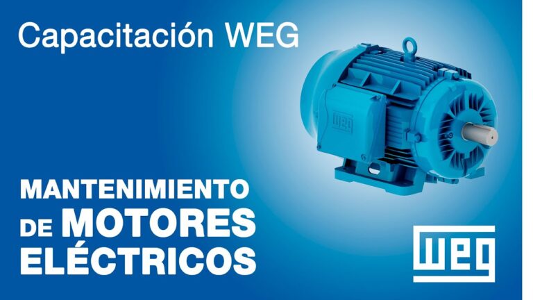 Gu&iacute;a Esencial de Mantenimiento para Motores
