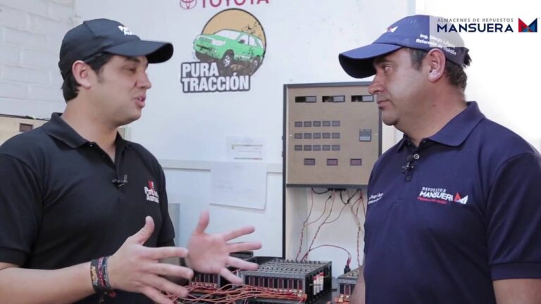 Cu&aacute;ndo Reemplazar la Bater&iacute;a de Tu Coche: Gu&iacute;a Pr&aacute;ctica