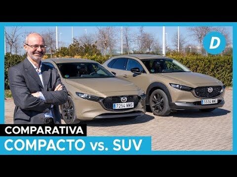 Gu&iacute;a de Criterios para Elegir Asientos de Coche Ideal