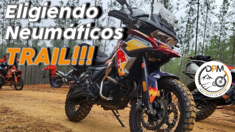 Gu&iacute;a Esencial para Elegir Neum&aacute;ticos de Moto Off-Road