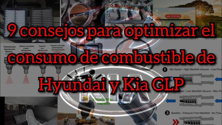 Optimizaci&oacute;n del Rendimiento a Trav&eacute;s de Filtros de Combustible