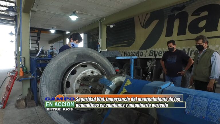 La importancia de los neumáticos en la seguridad vial de camionetas