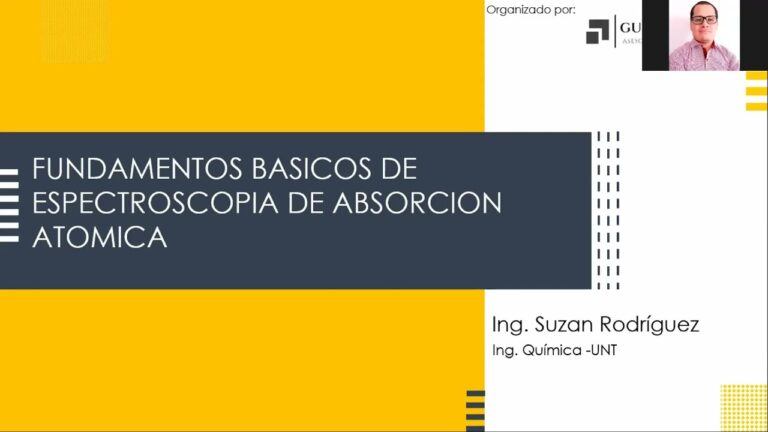Caracter&iacute;sticas Clave de la Capacidad de Absorci&oacute;n