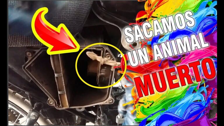 La importancia de cambiar el filtro de aire en tu moto