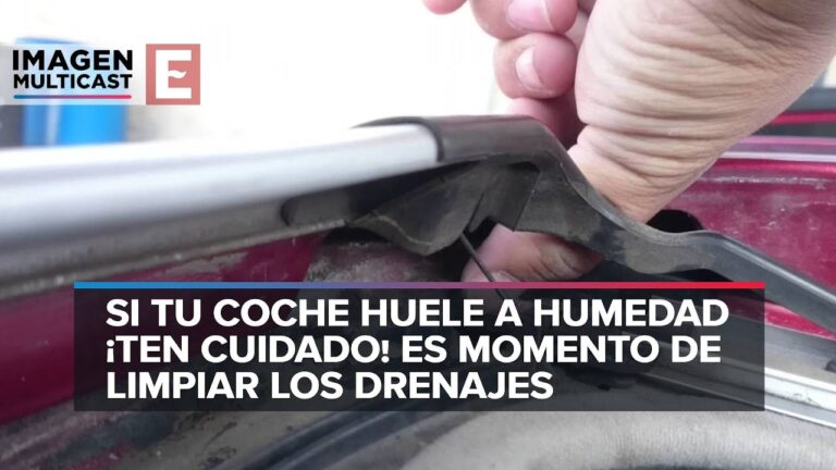 Consejos Esenciales para el Mantenimiento de la Carrocer&iacute;a y Parabrisas