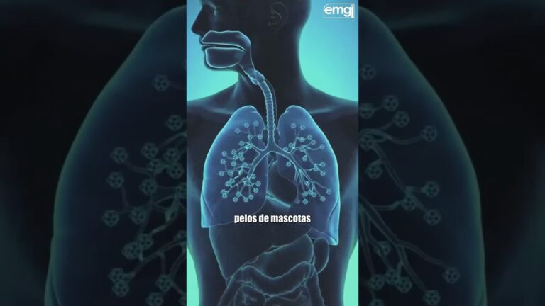 Beneficios de los Filtros de Aire de Algod&oacute;n en Autom&oacute;viles