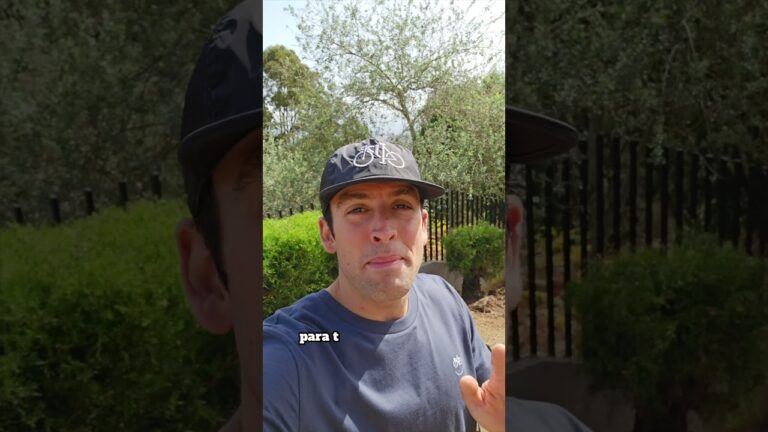 Seguridad y Precisi&oacute;n en Frenos de Disco: Accesorios Esenciales