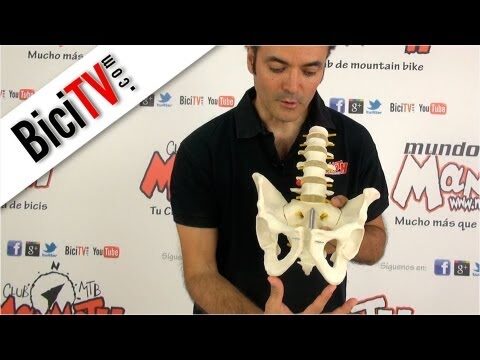 Asientos Infantiles Ergonómicos: Comodidad y Bienestar para los Niños