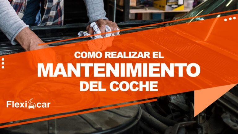 Importancia de la Revisi&oacute;n Peri&oacute;dica de los Niveles de Aceite del Coche