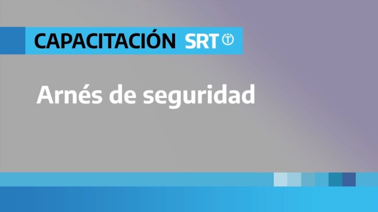 Amortiguadores: Clave en la Prevenci&oacute;n de Accidentes